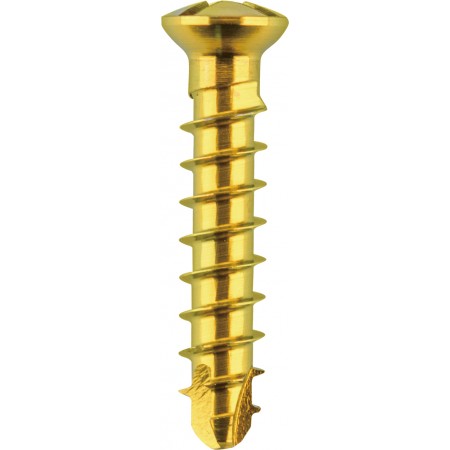 2.4 locking Mini screw ჭანჭიკი მაბლოკირებელი